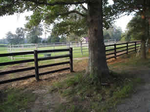 4 rail black Centaur HTP fencing installed by Ranck's Quality Fencing